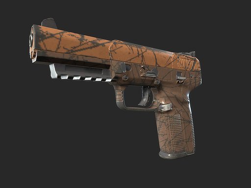 CS2 skin display