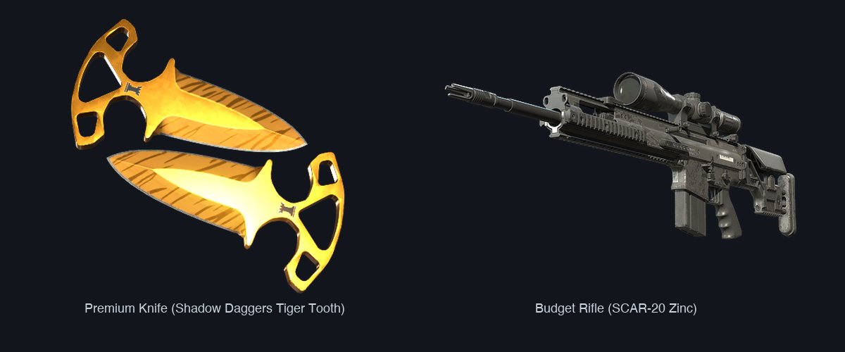 Premium knife versus budget rifle — the value spread in CS2