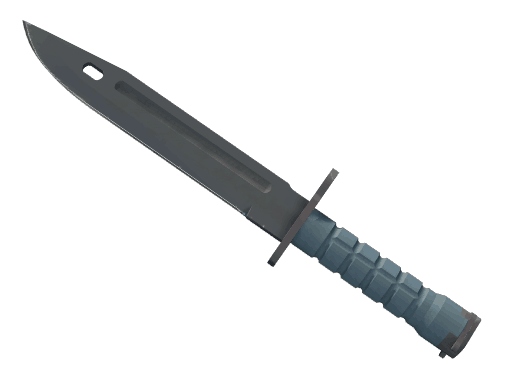 ★ Bayonet | Night CS2 skin