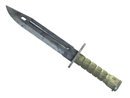 ★ Bayonet | Stained CS2 skin