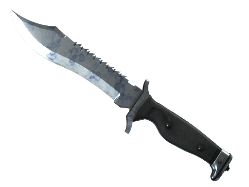 ★ Bowie Knife | Stained CS2 skin