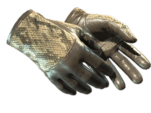 ★ Driver Gloves | Diamondback CS2 skin