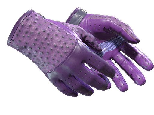 ★ Driver Gloves | Plum Quill CS2 skin