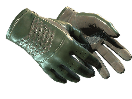 ★ Driver Gloves | Racing Green CS2 skin
