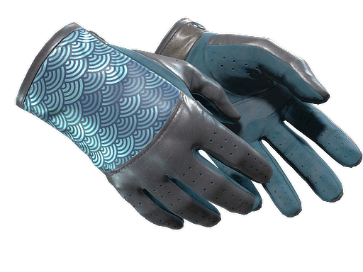 ★ Driver Gloves | Seigaiha CS2 skin