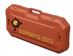 eSports 2013 Case