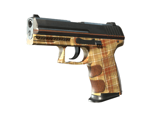 P2000 | Coach Class CS2 skin