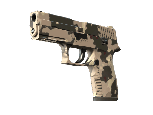 P250 | Black & Tan CS2 skin