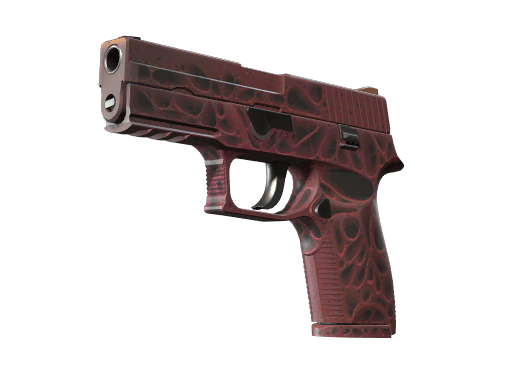 P250 | Contaminant CS2 skin