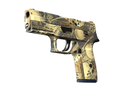 P250 | Contamination CS2 skin