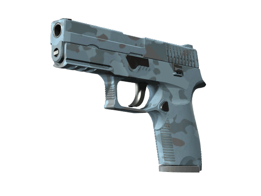 P250 | Forest Night CS2 skin