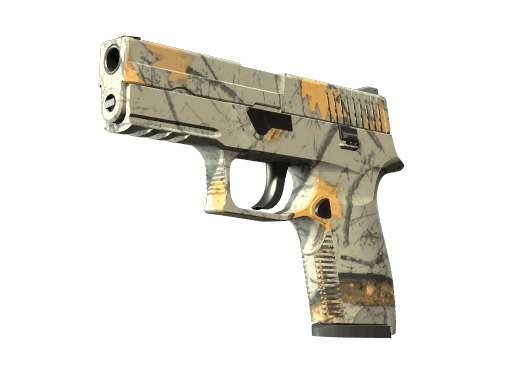 P250 | Modern Hunter CS2 skin