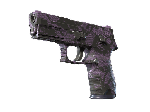 P250 | Plum Netting CS2 skin