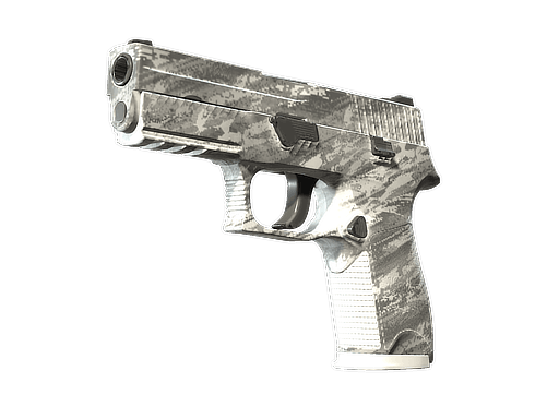 P250 | Sleet CS2 skin