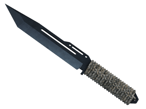 ★ Paracord Knife | Blue Steel CS2 skin