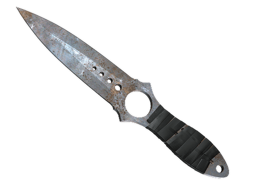 ★ Skeleton Knife | Rust Coat CS2 skin