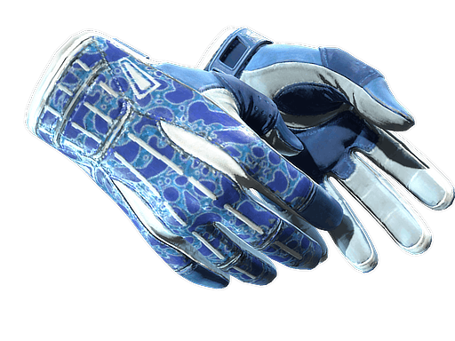 ★ Sport Gloves | Amphibious CS2 skin