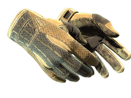 ★ Sport Gloves | Arid CS2 skin