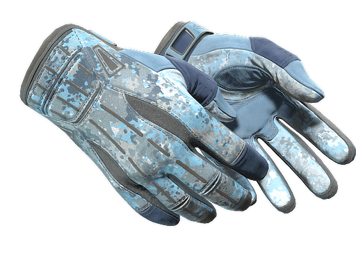★ Sport Gloves | Frosty CS2 skin