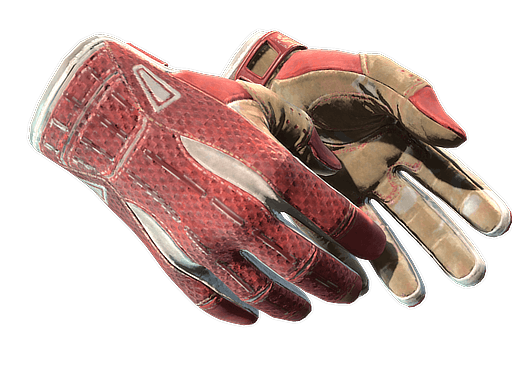 ★ Sport Gloves | Slingshot CS2 skin