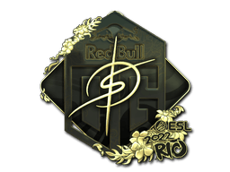 Sticker | degster (Gold) | Rio 2022