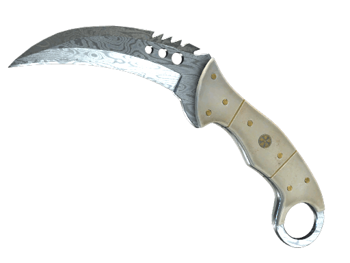 ★ Talon Knife | Damascus Steel CS2 skin