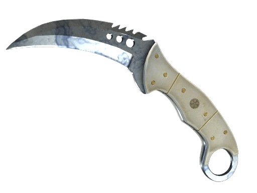 ★ Talon Knife | Stained CS2 skin