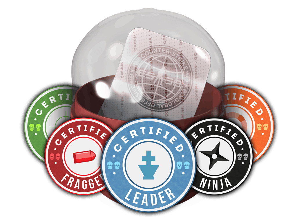 Team Roles Capsule high-resolution artwork