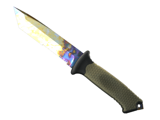★ Ursus Knife | Case Hardened CS2 skin