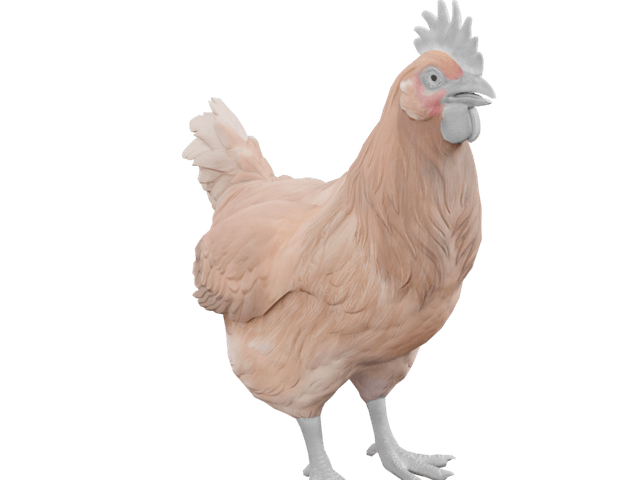 Catalana game asset render