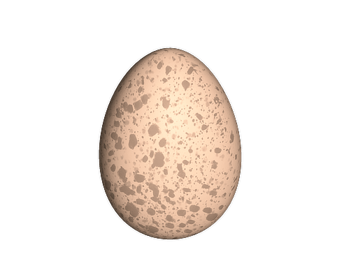 Chicken Egg game asset render