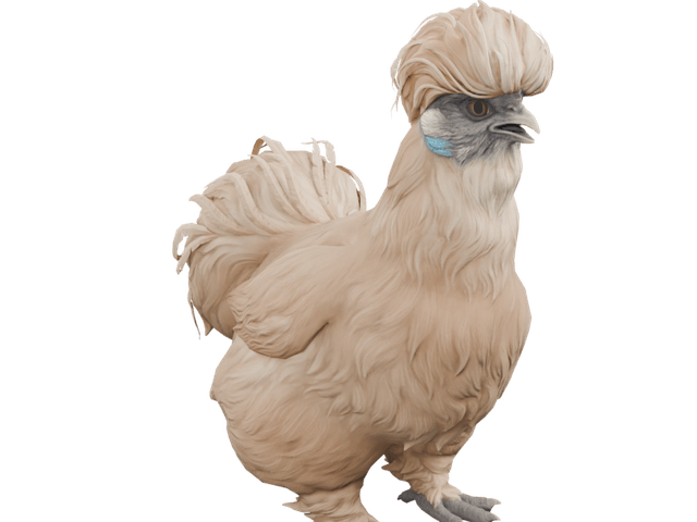 Silkie game asset render