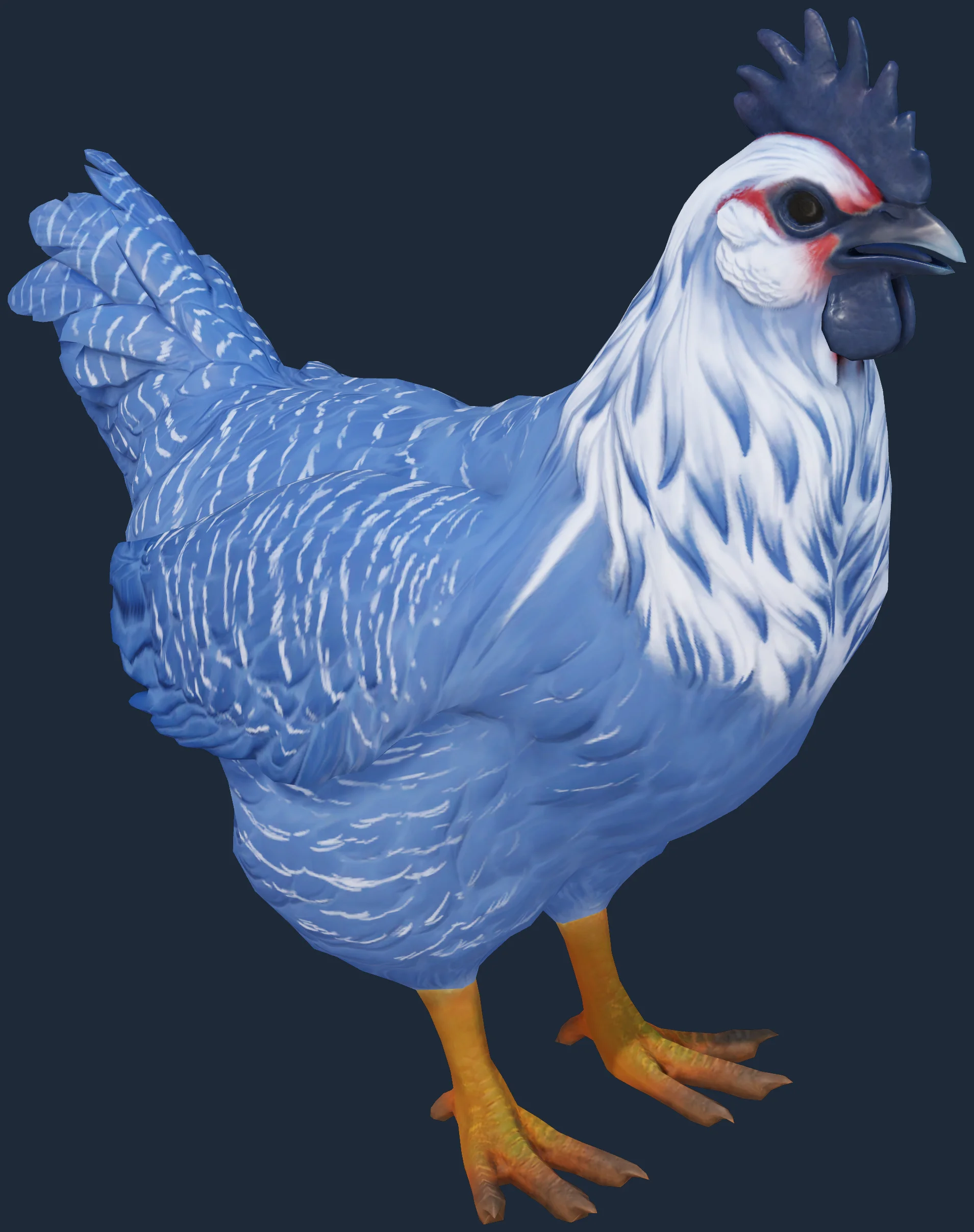 Aparência de galinha: Catalana Azul