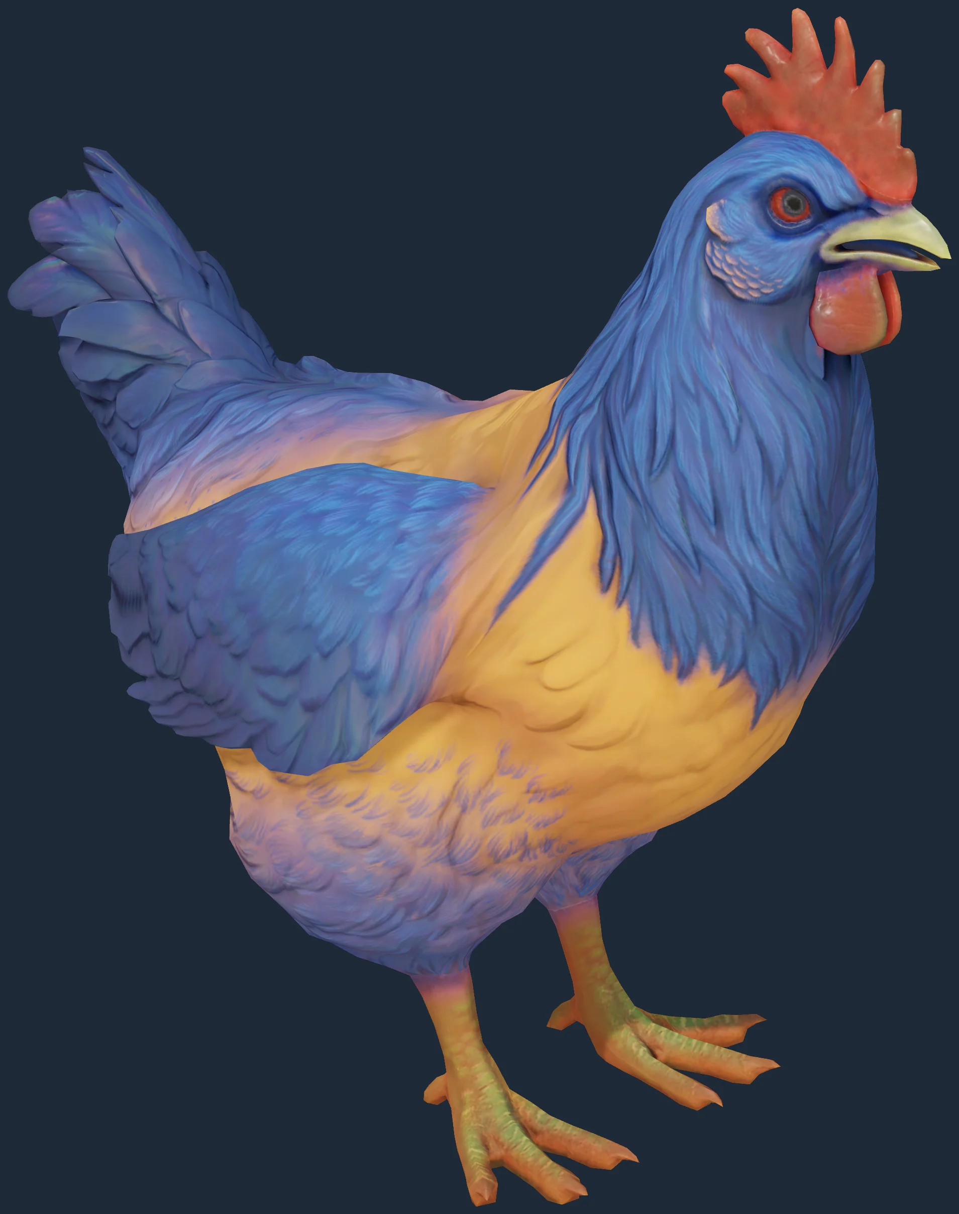Aparência de galinha: Catalana Laranja com pescoço azul