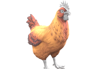 Catalana Dark Orange chicken appearance