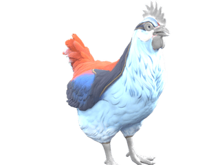 Catalana Light Blue And Red chicken appearance