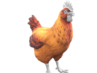 Catalana Red Yellow Gradient chicken appearance